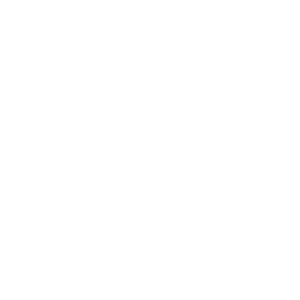 Industry_Financial Services